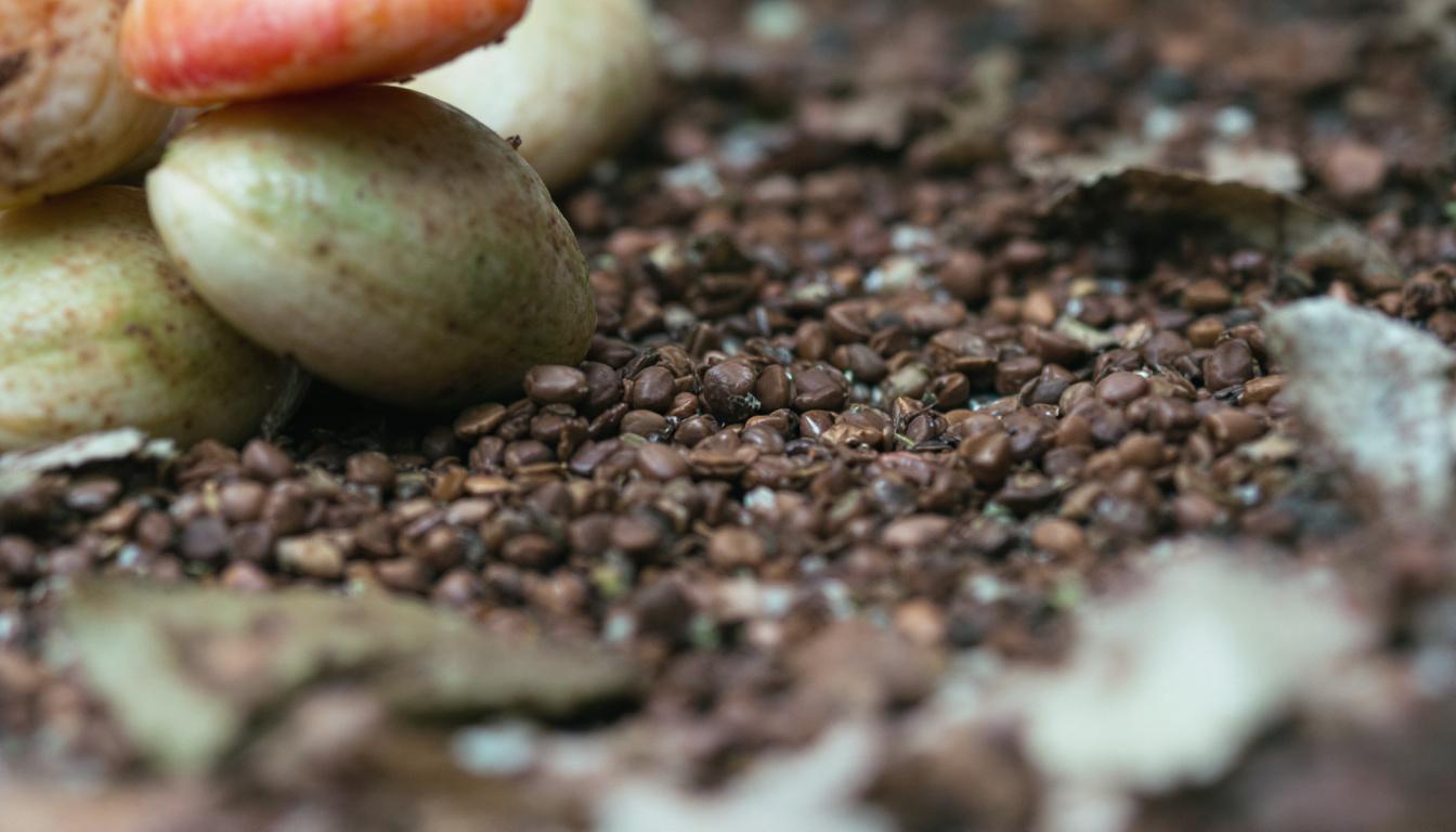 ontdek het onderdeel van uw koffiemachine dat u nooit schoonmaakt maar dat een grote invloed heeft op de smaak van uw koffie. leer hoe u het kunt onderhouden voor de beste bakkwaliteit.